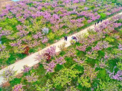 深挖文化底蕴生态资源 打造全域旅游发展格局