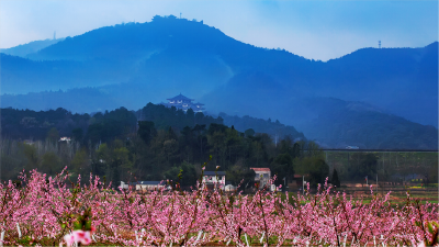 风景变产业 美丽变生产力 “文化+旅游”让这个小山村有了新面貌→