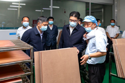 隋春龙在安陆调研督导时强调：持续巩固疫情防控成果 切实维护平安稳定大局