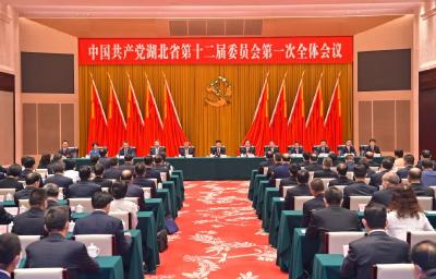中共湖北省委十二届一次全体会议举行