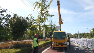 安陆：冒酷暑抢修路灯 照亮居民回家路