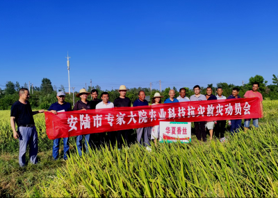 农技专家开展农业科技抗灾救灾指导