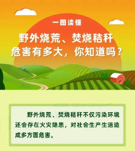 一图读懂 | 秸秆焚烧危害有多大？