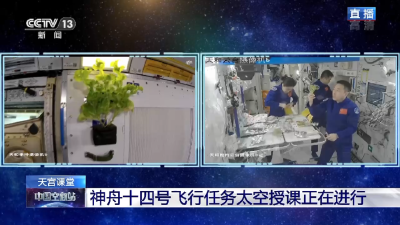 中国人的“太空菜园”种了啥？揭秘→