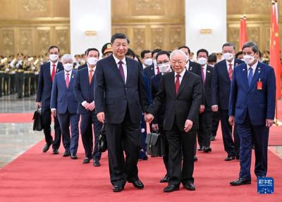 习近平同越共中央总书记阮富仲举行会谈