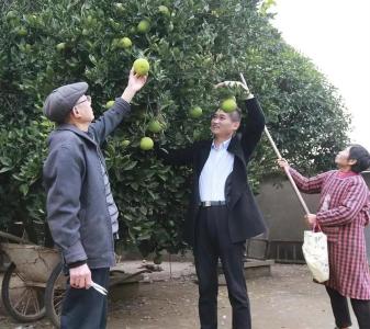 “最美退役军人”初评结果揭晓，​安陆90后村支部书记入围