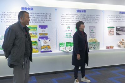 【新春走基层】安陆：扛稳粮食产业发展重任 推动现代农业深度融合