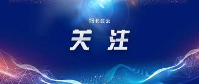 新冠口服药莫诺拉韦，预计明天国内首发！
