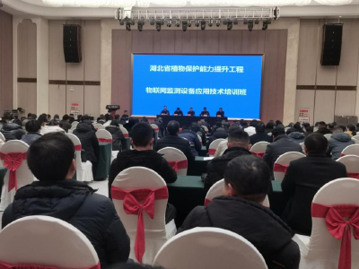 全省农作物重大病虫发生趋势会商、测报技术暨物联网监测设备应用技术培训会在安陆召开