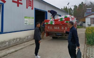 涢水大地春来早