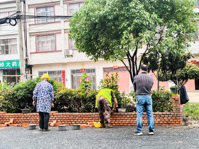 孛畈镇：修砌花坛 提升人居环境