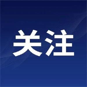 安陆：盲道不盲 有爱无“碍”