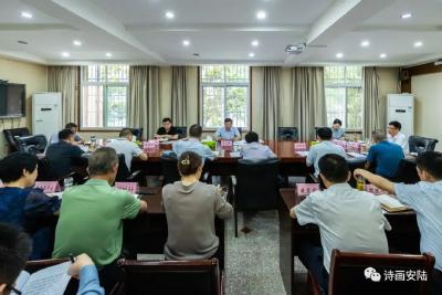 安陆市委宣传思想工作领导小组会议召开