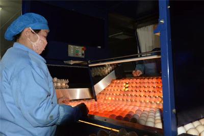 神丹公司被认定为农业国际贸易高质量发展基地