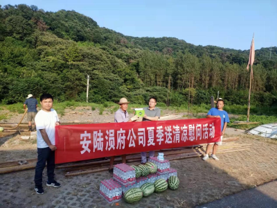 安陆涢府公司开展安全生产大检查暨“送清凉”慰问活动