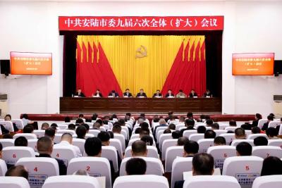 中共安陆市委九届六次全体（扩大）会议召开​