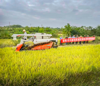 安陆市举办水稻机械化低茬收割减损技术现场观摩培训会