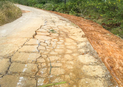 安陆市陈店乡上周村：“烦心路”变身“幸福路”