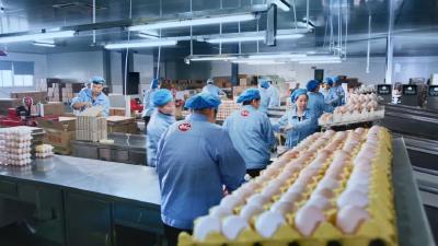 “神丹”鸡蛋不简单，入选国家品牌目录！