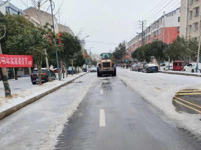 安陆市洑水镇全力应对低温雨雪冰冻天气