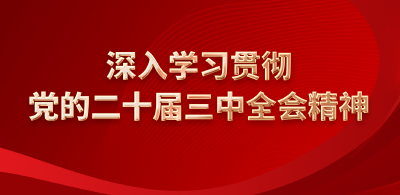 深入学习贯彻党的二十届三中全会精神