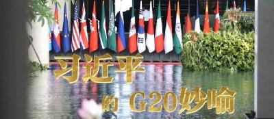 习近平的G20妙喻