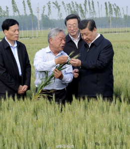 是贡献，也是奉献