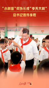 一见·“小树苗”何以长成“参天大树”，总书记言传身