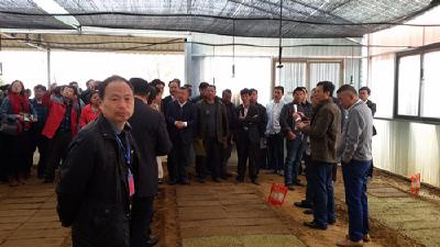 全省花生水稻机直播现场会在大悟召开