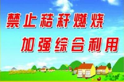 我市召开秋季农作物秸秆露天禁烧及综合利用工作会议 