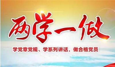 汉川市开展“两学一做”学习教育纪实 