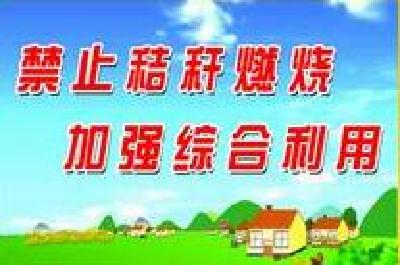 刘家隔镇：秸秆利用 变废为宝
