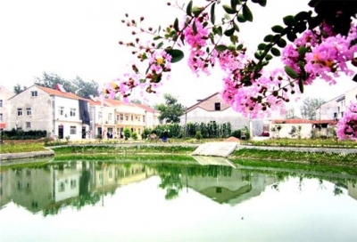 我市积极开展农村环境综合整治 