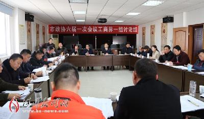 刘有年参加市政协六届一次会议工商界一组讨论 