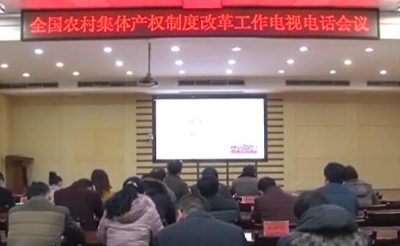全国全省农村集体产权制度改革电视电话会议召开