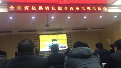 全国全面深化供销合作社综合改革工作电视电话会议召开 