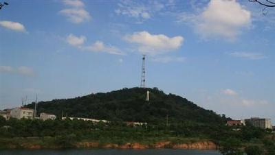 造林2万亩打造生态秀美汉川 
