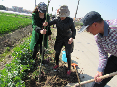 中洲农场开展义务植树活动