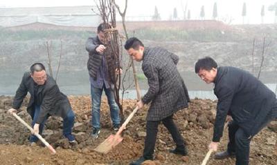 市司法局：义务植树添新绿 