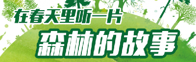 世界森林日：在春天里，听一片森林的故事