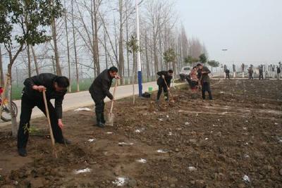 里潭乡干群义务植树添新绿 