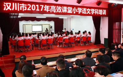 汉川市开展高效课堂小学语文学科培训 