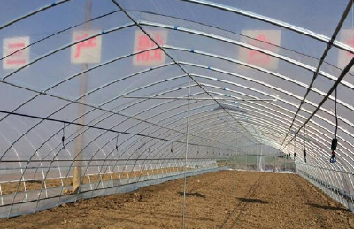中洲农场全力推进水稻绿色高产高效创建工作 