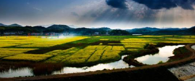 湖北这140个地方太让人羡慕 将成全省示范
