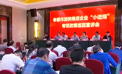 孝感市加快推进企业“小进规”专项政策宣讲团来我市宣讲 