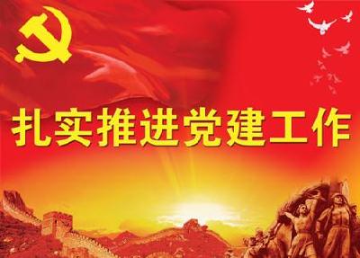 南河乡夯实党建促发展 