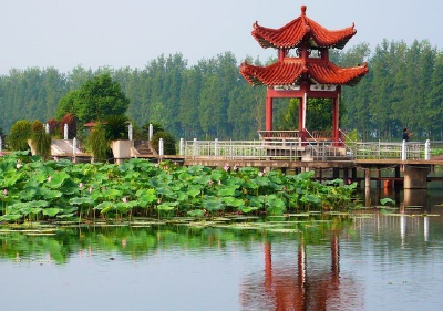 汉川推进畜禽养殖废弃物综合利用