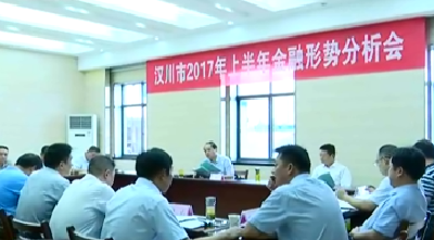 我市召开2017年上半年金融形势分析会 