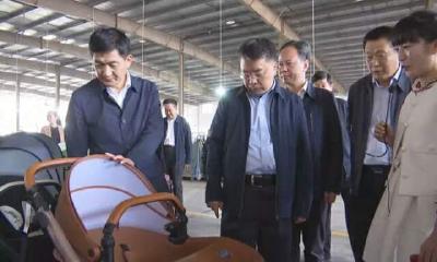 副省长童道驰到我市调研指导重点企业运行及农业抗灾情况 