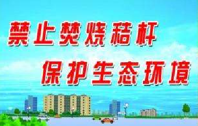 秸秆禁烧巡逻队在行动 